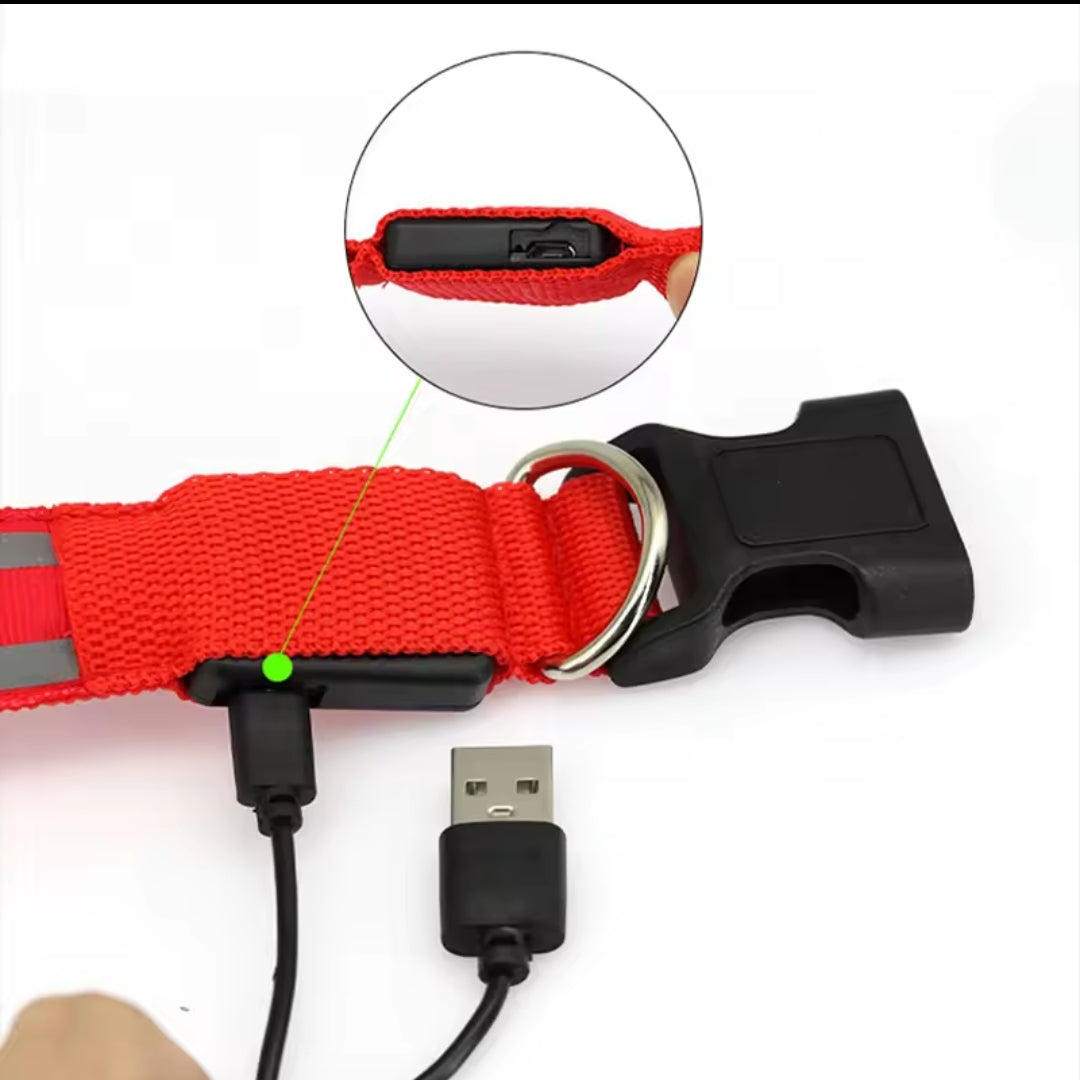 Collar para perros con luz LED